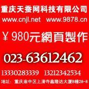 供應(yīng)九龍坡網(wǎng)站建設(shè)公司及軟件開發(fā)服務(wù)，助力燈具照明企業(yè)拓展市場(chǎng)