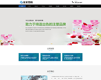 打造高端大氣的響應(yīng)式塑料封條制品企業(yè)網(wǎng)站——一站式網(wǎng)站建設(shè)開發(fā)服務(wù)