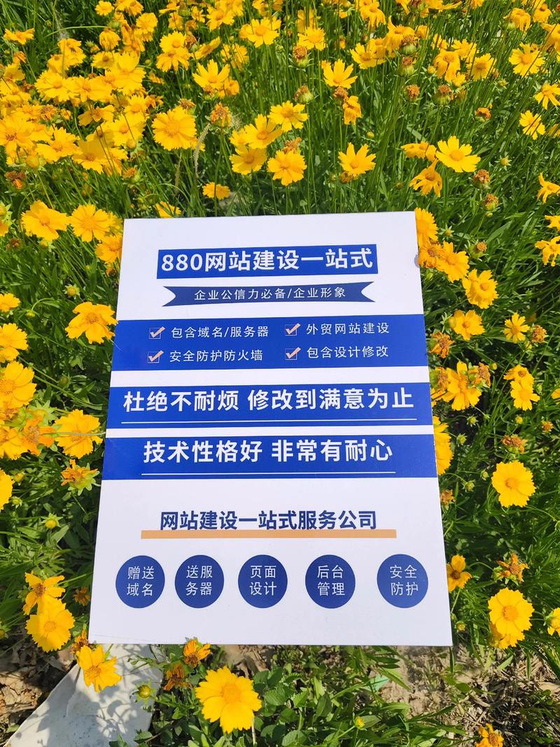 網(wǎng)站建設(shè)一站式解決方案 高效開發(fā)，全面服務(wù)